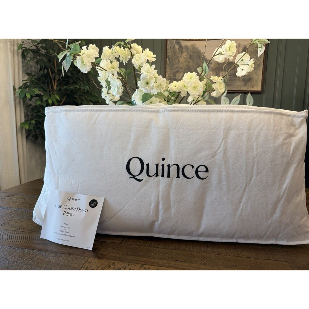 NWT Quince Luxe Goose Down Pillow King Medium / Firm $234 Retail